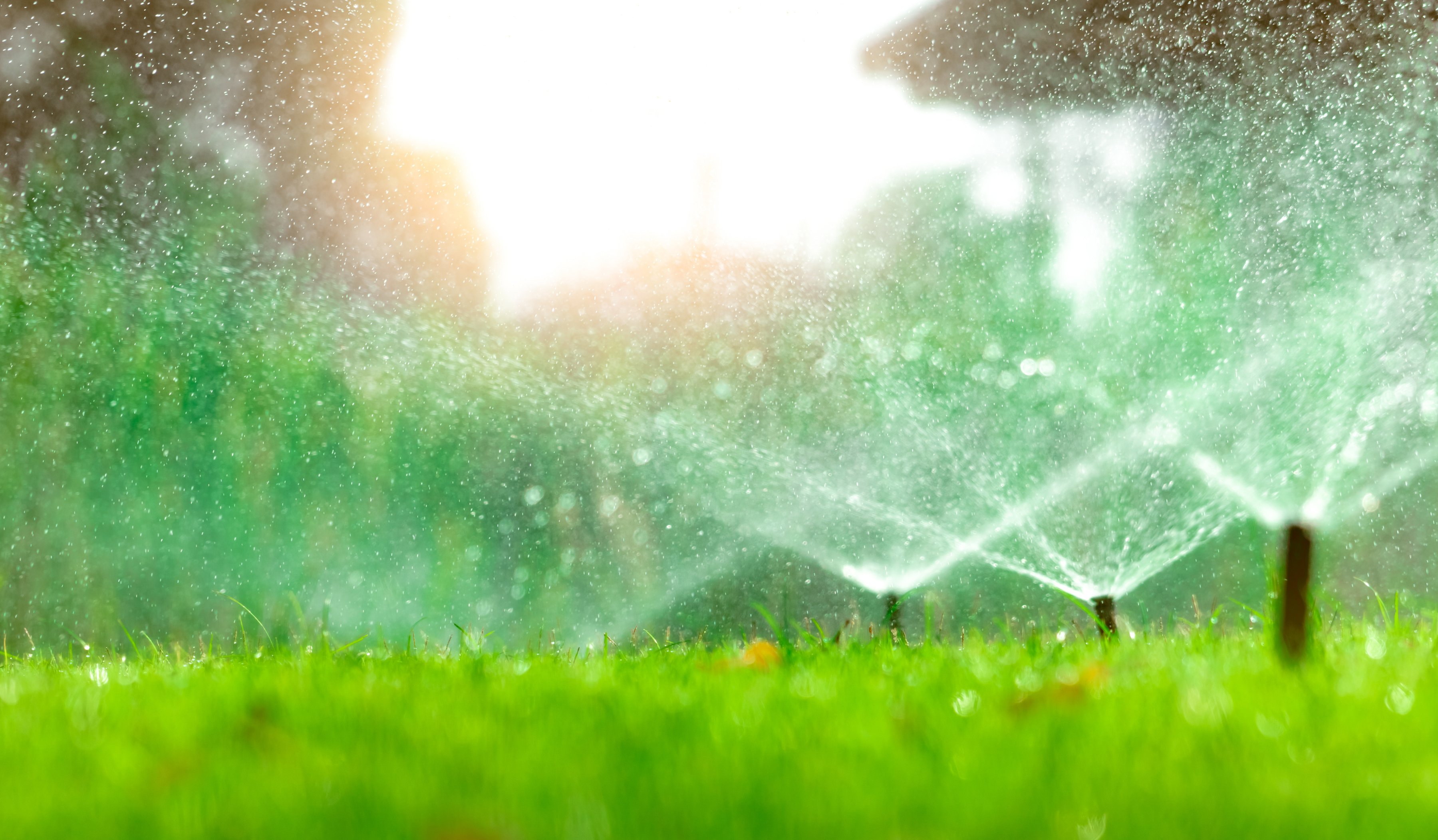 Automatic Lawn Sprinkler Watering Green Grass